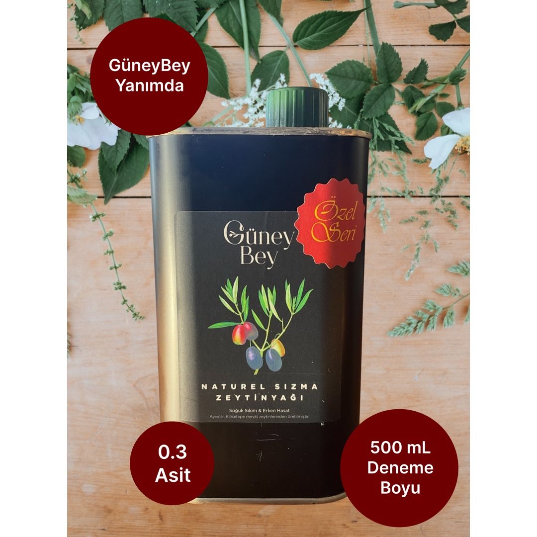 GüneyBey Özel Seri - Yanımda 500 mL - Çevir Kapaklı