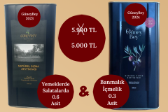 Güneybey Bir Arada 5L